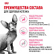 Royal Canin Sphynx Kitten сухой корм для котят породы сфинкс