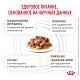 Royal Canin Gastrointestinal Moderate Calorie Роял Канин влажный корм для кошек при нарушении пищеварения, соус
