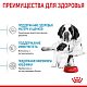 Royal Canin Giant Starter сухой корм для щенков очень крупных пород до 2мес.