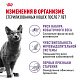 Royal Canin Sterilised 7+ сухой корм для стерилизованных кошек от 7 лет