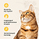 Van Cat Наполнитель комкующийся без пыли с ароматом ванили 