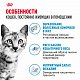 Royal Canin Indoor 27 сухой корм для кошек, живущих в помещении