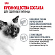 Royal Canin Hairball Care влажный корм для взрослых кошек для снижения риска образования волосяных комочков, соус