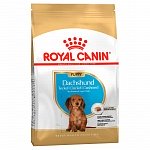 Royal Canin Dachshund Jonior корм для щенков породы Такса до 10 месяцев