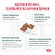 Royal Canin Satiety Weight Management сухой корм для собак для снижения веса