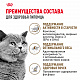 Royal Canin Ageing Sterilised 12+ сухой корм для стерилизованных кошек от 12 лет