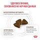Royal Canin Gastrointestinal Kitten сухой корм для котят при нарушениях пищеварения
