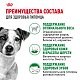 Royal Canin Mini Adult сухой корм для собак мелких пород