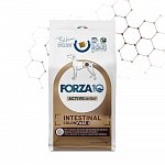 Forza10 Intestinal Colon Fase I сухой корм для взрослых собак для лечения колитов, экзокринной недостаточности поджелудочной железы