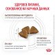Royal Canin Gastrointestinal сухой корм для кошек при нарушениях пищеварения