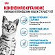 Royal Canin Indoor 7+ сухой корм для кошек от 7 лет, живущих в помещении