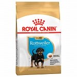 Royal Canin Rottweiler Junior корм для щенков Ротвейлера до 18 месяцев