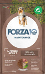 Forza10 Maintenance Medium Adult сухой корм для собак средних пород Ягненок