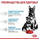 Royal Canin Maxi Starter сухой корм для щенков крупных пород до 2мес.