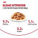 Royal Canin Indoor Sterilised влажный корм для взрослых стерил. домашних кошек, желе