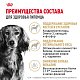 Royal Canin Dachshund Adult сухой корм для взрослых собак породы такса