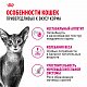 Royal Canin Savour Exigent сухой корм для привередливых кошек