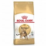 Royal Canin Bengal для бенгальских кошек