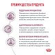 Royal Canin Renal Роял Канин влажный корм для кошек при почечной недостаточности с говядиной, соус