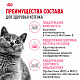 Royal Canin British Shorthair Kitten сухой корм для британских короткошерстных котят