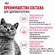 Royal Canin British Shorthair Kitten сухой корм для британских короткошерстных котят