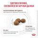 Royal Canin Gastrointestinal Hairball сухой корм для кошек при нарушениях пищеварения, вызванного наличием волосяных комочков