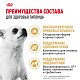 Royal Canin Chihuahua Adult сухой корм для взрослых собак породы чихуахуа