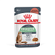 Royal Canin Digestive Care влажный корм для взрослых кошек с чувствительным пищеварением, соус