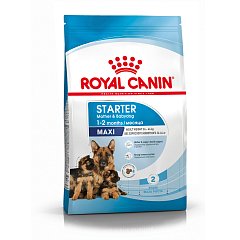Royal Canin Maxi Starter сухой корм для щенков крупных пород до 2мес.