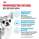 Royal Canin Chihuahua Puppy сухой корм для щенков породы чихуахуа
