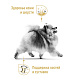 Royal Canin Pomeranian Adult сухой корм для взрослых собак породы померанский шпиц