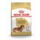 Royal Canin Dachshund Adult сухой корм для взрослых собак породы такса