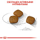 Royal Canin Mini Urinary сухой корм для собак мелких пород с чувствительной мочевыделительной системой