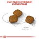 Royal Canin Mini Urinary сухой корм для собак мелких пород с чувствительной мочевыделительной системой