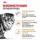 Royal Canin Persian Adult сухой корм для персидских кошек