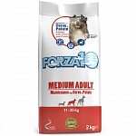 Forza10 Medium adult maintenance 26/13 Форза сухой полнорационный корм для собак средних пород с олениной