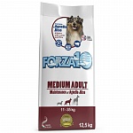 Forza10 Medium adult maintenance 24/12 Форза сухой полнорационный корм для собак средних пород с ягнёнком