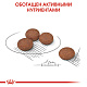 Royal Canin Mini Digestive сухой корм для собак мелких пород с чувствительным пищеварением