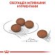 Royal Canin Mini Digestive сухой корм для собак мелких пород с чувствительным пищеварением