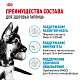 Royal Canin Maxi Puppy сухой корм для щенков крупных пород