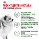 Royal Canin Mini Indoor Adult сухой корм для домашних собак мелких пород 