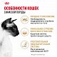 Royal Canin Siamese Adult сухой корм для сиамских кошек