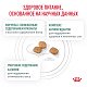 Royal Canin Diabetic сухой корм для кошек при сахарном диабете