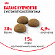 Royal Canin Indoor Long Hair сухой корм для длинношерстных кошек, живущих в помещении