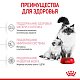 Royal Canin Mother & Babycat сухой корм для котят до 4 месяцев