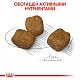 Royal Canin Mini Dental сухой корм для собак мелких пород с чувствительными деснами 