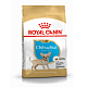 Royal Canin Chihuahua Puppy сухой корм для щенков породы чихуахуа