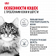 Royal Canin Hair & Skin Care сухой корм для взрослых кошек для здоровья кожи и красоты шерсти