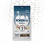 Forza10 Medium Diet сухой гипоаллергенный корм для взрослых собак средних пород с ягненком