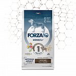 Forza10 Medium Diet сухой гипоаллергенный корм для взрослых собак средних пород с ягненком